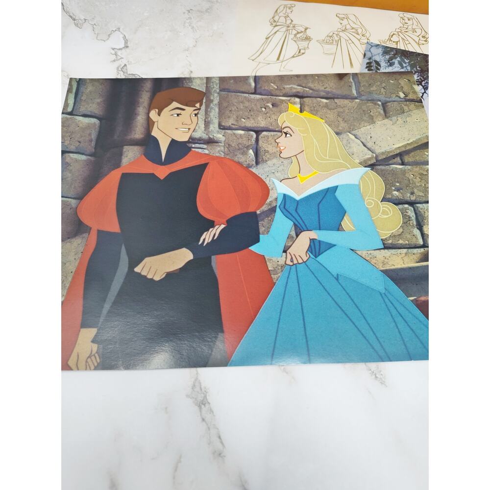 Disney Movie Awards Sleeping Beauty Movie Cells & Lithographs 🌹 Well Worn - Picture 2 of 5